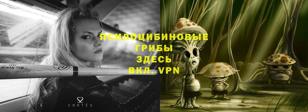 дурь Карпинск