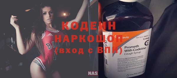 PSILOCYBIN Карталы