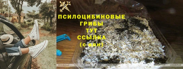 стаф Киренск