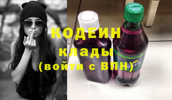 дурь Карпинск