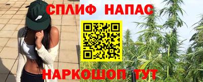 СК Донской