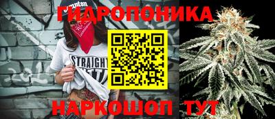 СК Донской